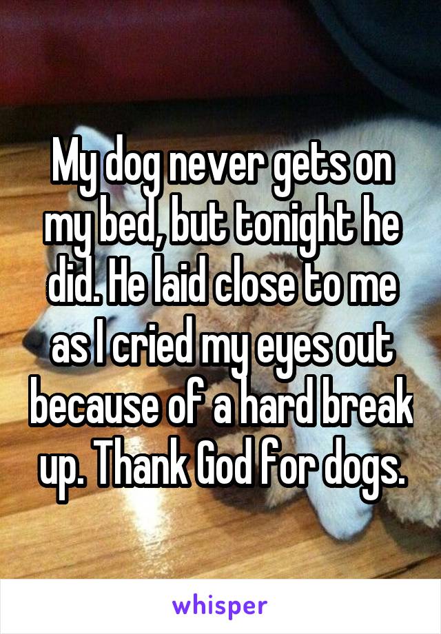 My dog never gets on my bed, but tonight he did. He laid close to me as I cried my eyes out because of a hard break up. Thank God for dogs.