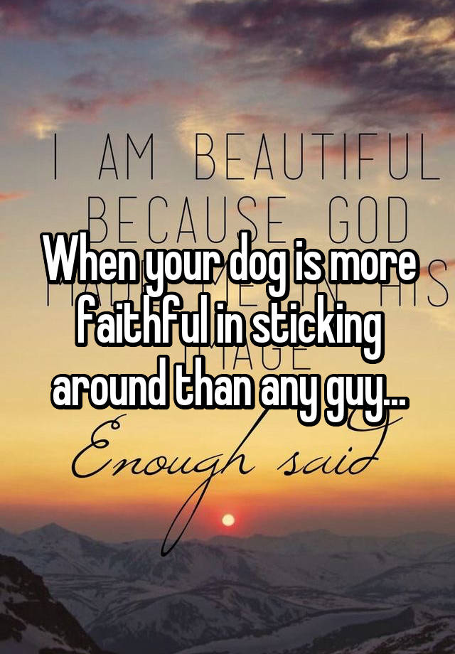 when-your-dog-is-more-faithful-in-sticking-around-than-any-guy