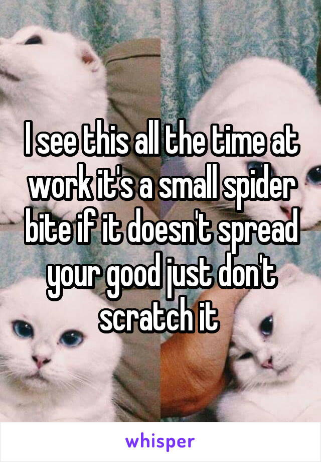 I see this all the time at work it's a small spider bite if it doesn't spread your good just don't scratch it 