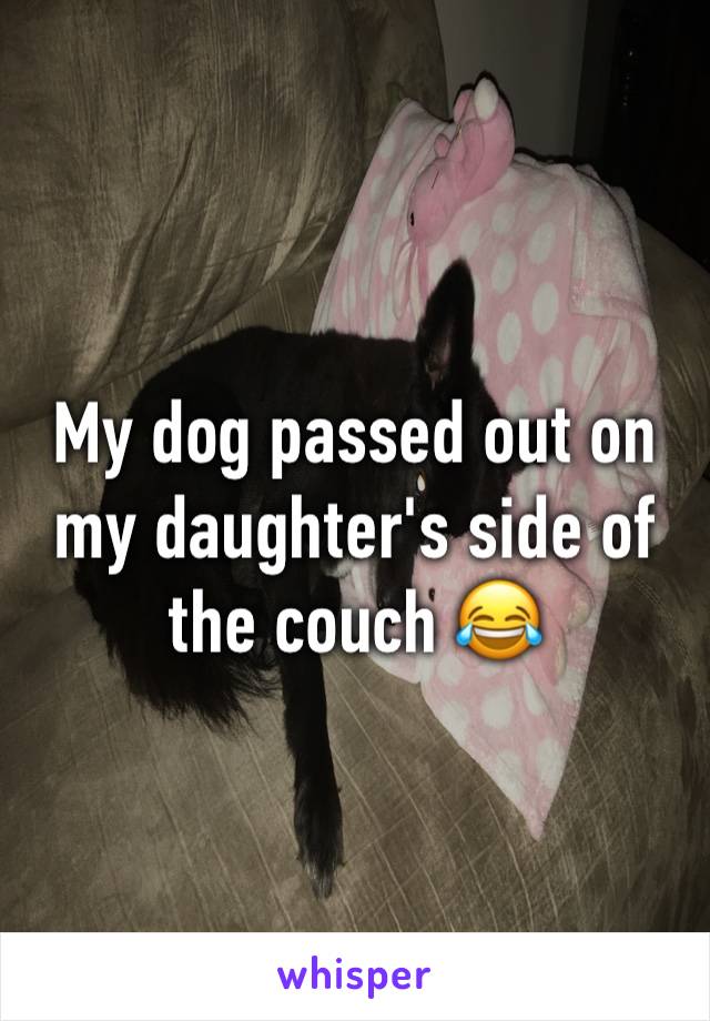 My dog passed out on my daughter's side of the couch 😂