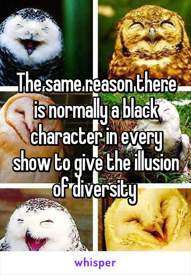The same reason there is normally a black character in every show to give the illusion of diversity 