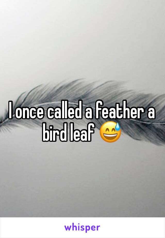 I once called a feather a bird leaf 😅