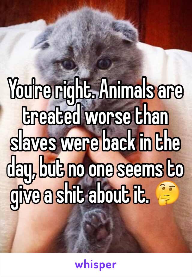 You're right. Animals are treated worse than slaves were back in the day, but no one seems to give a shit about it. 🤔