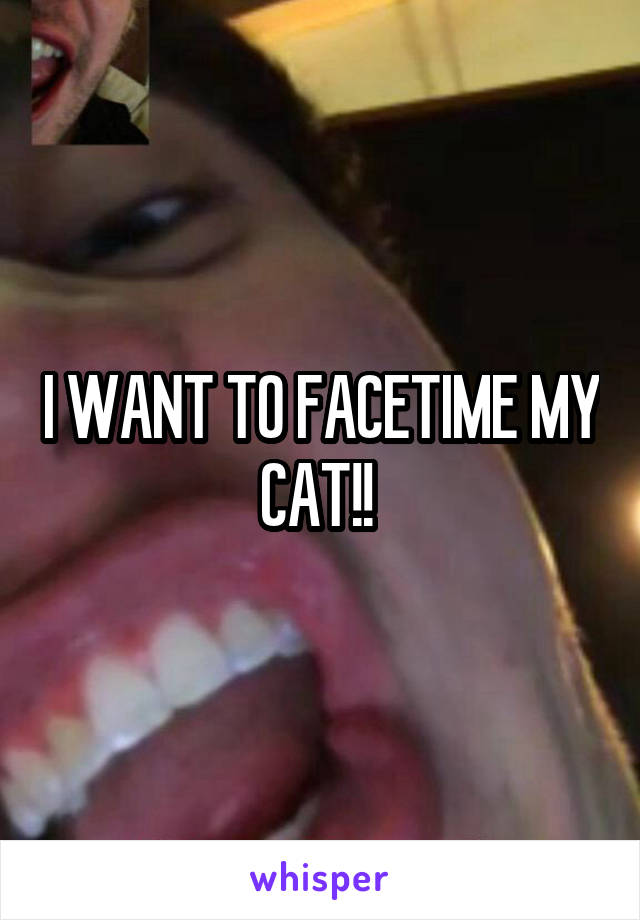 I WANT TO FACETIME MY CAT!! 