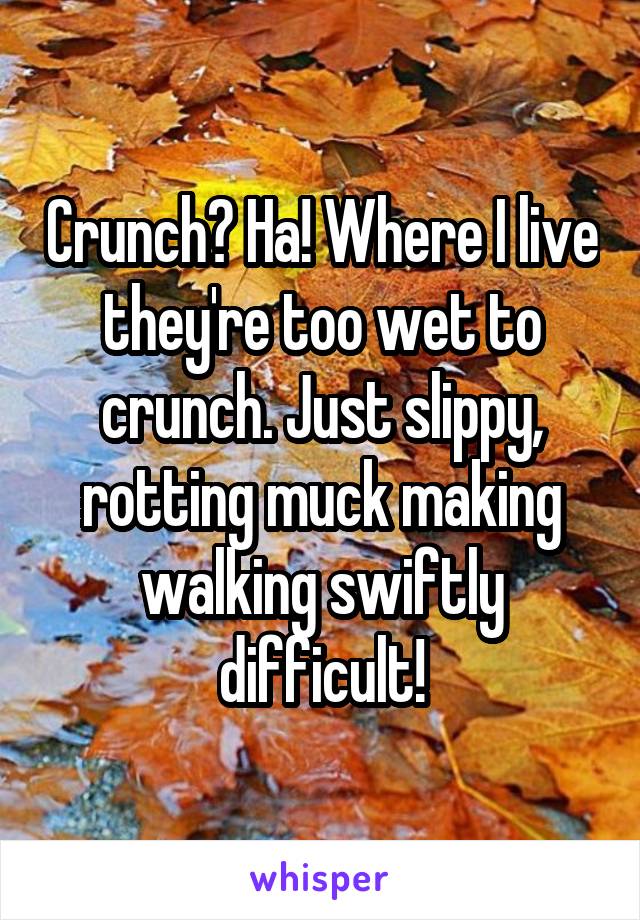 Crunch? Ha! Where I live they're too wet to crunch. Just slippy, rotting muck making walking swiftly difficult!