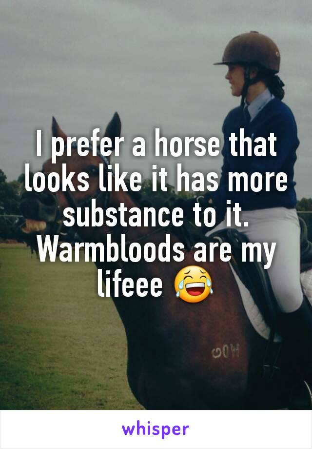 I prefer a horse that looks like it has more substance to it. Warmbloods are my lifeee 😂