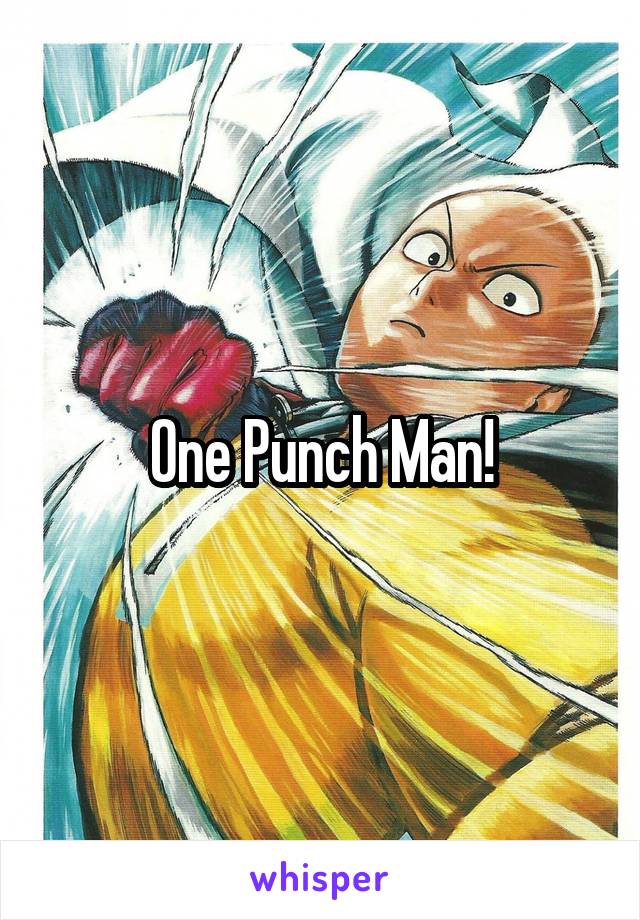 One Punch Man!