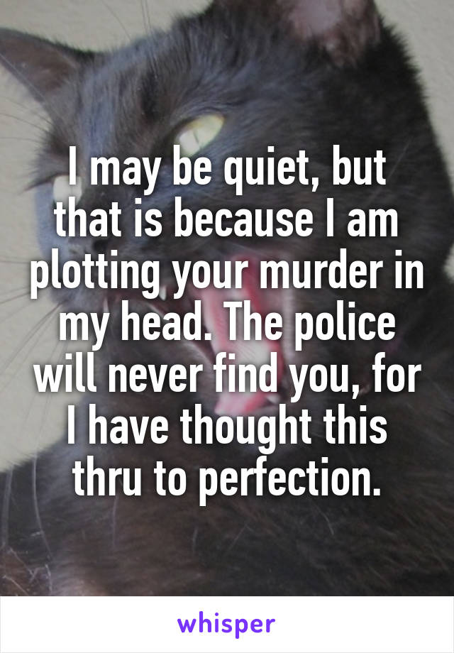 I may be quiet, but that is because I am plotting your murder in my head. The police will never find you, for I have thought this thru to perfection.