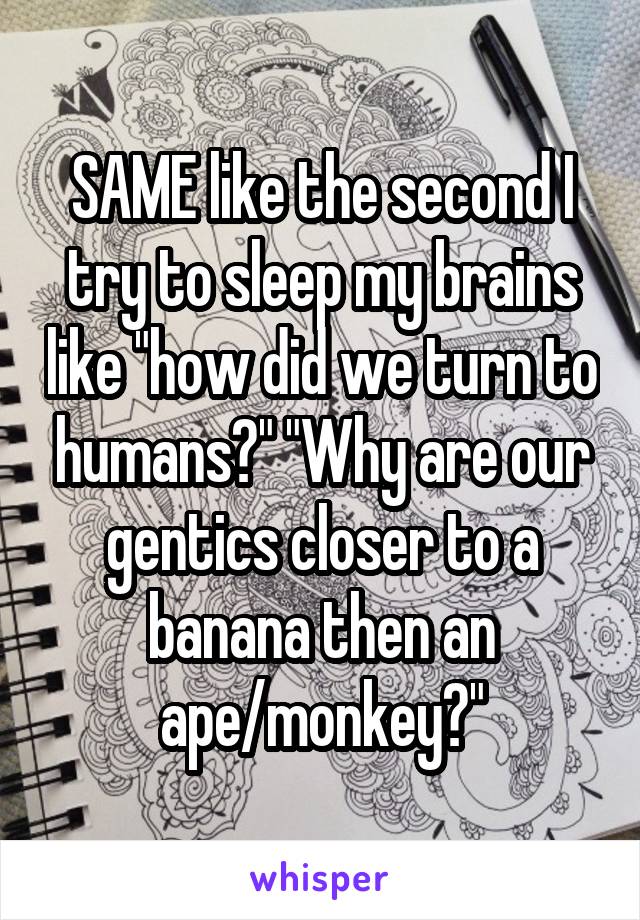 SAME like the second I try to sleep my brains like "how did we turn to humans?" "Why are our gentics closer to a banana then an ape/monkey?"