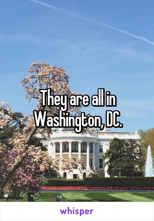 They are all in Washington, DC.
