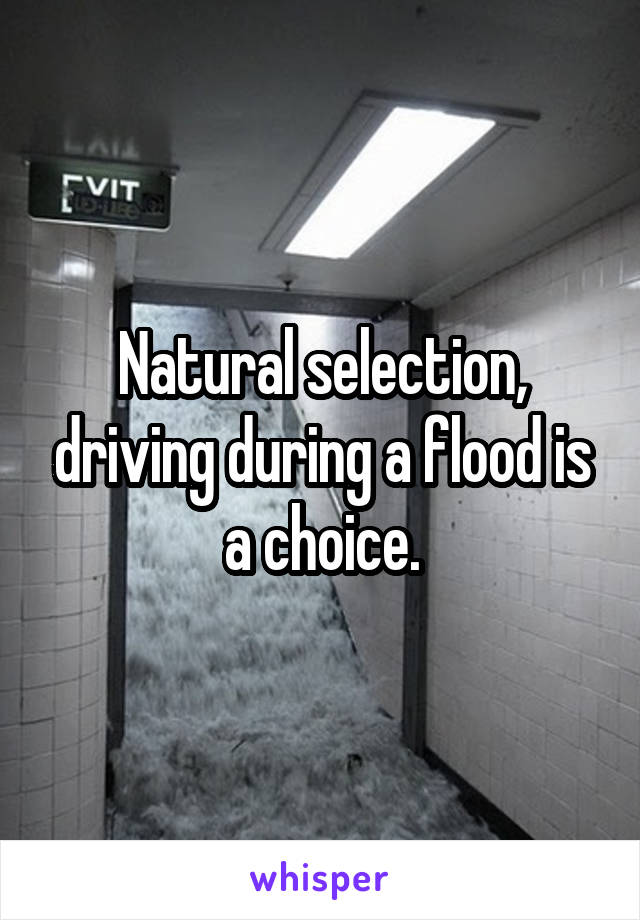 Natural selection, driving during a flood is a choice.