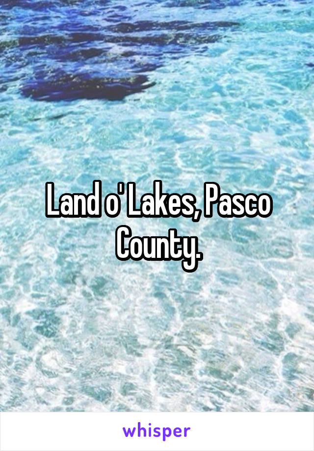 Land o' Lakes, Pasco County.