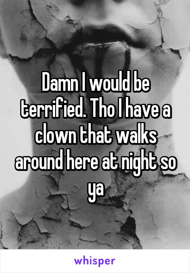 Damn I would be terrified. Tho I have a clown that walks around here at night so ya