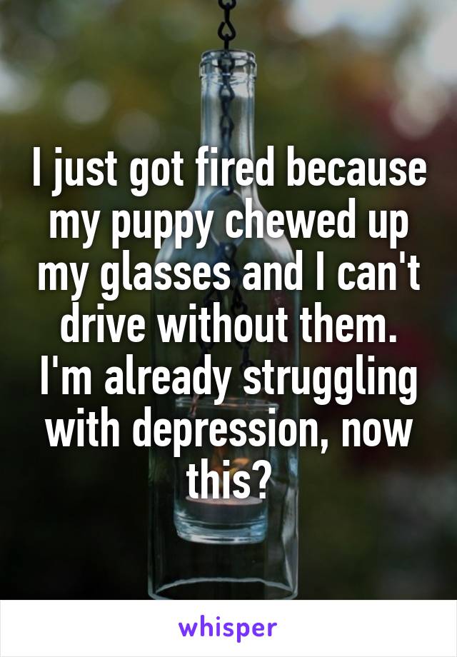 I just got fired because my puppy chewed up my glasses and I can't drive without them. I'm already struggling with depression, now this?