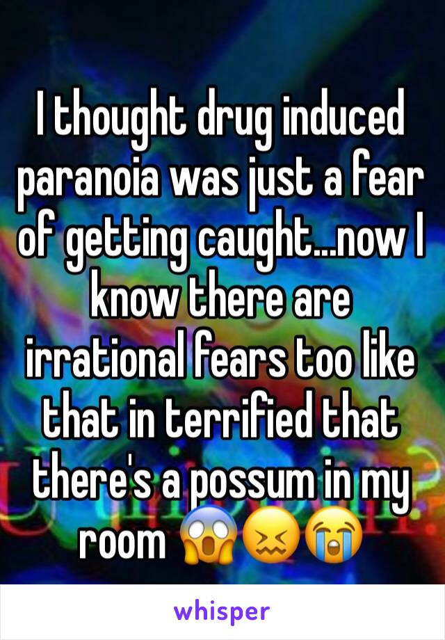 I thought drug induced paranoia was just a fear of getting caught...now I know there are irrational fears too like that in terrified that there's a possum in my room 😱😖😭