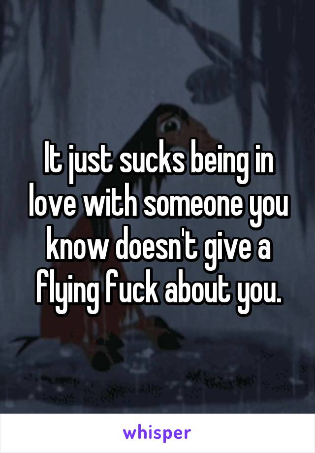 It just sucks being in love with someone you know doesn't give a flying fuck about you.