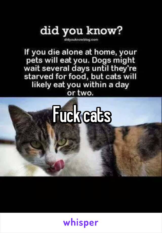Fuck cats