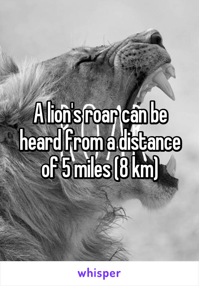 A lion's roar can be heard from a distance of 5 miles (8 km)