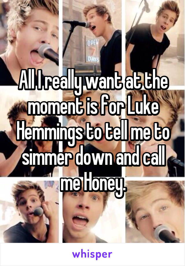 All I really want at the moment is for Luke Hemmings to tell me to simmer down and call me Honey.