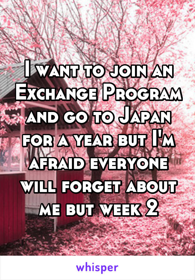 I want to join an Exchange Program and go to Japan for a year but I'm afraid everyone will forget about me but week 2