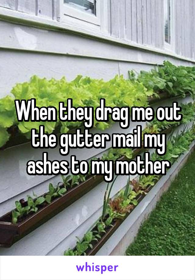 When they drag me out the gutter mail my ashes to my mother