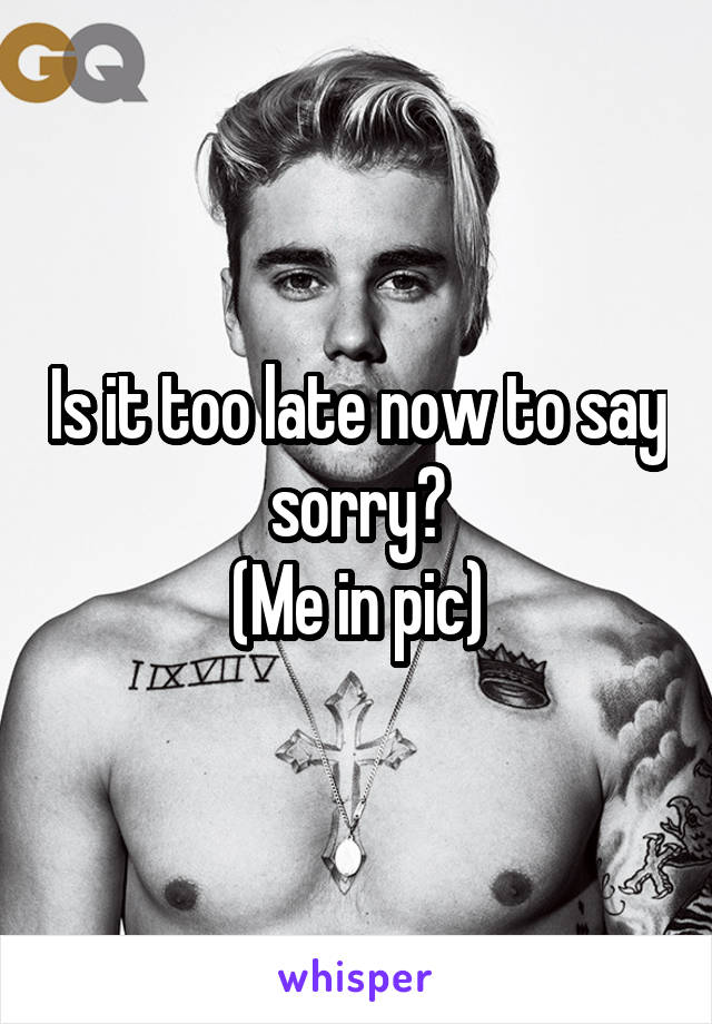 Is it too late now to say sorry?
(Me in pic)