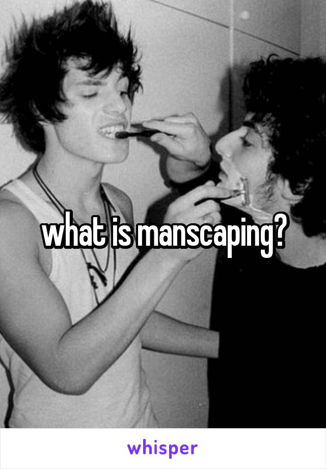 what is manscaping?