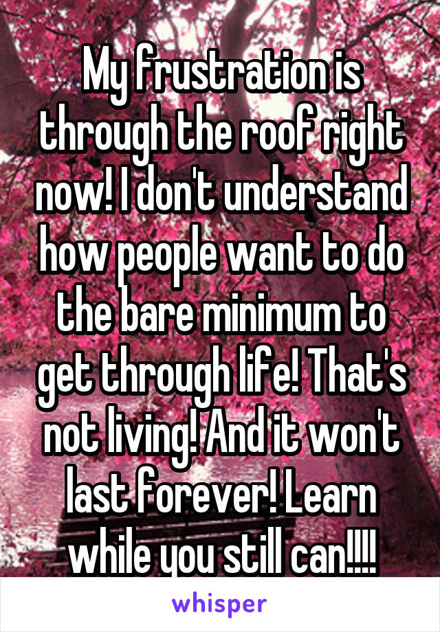 My frustration is through the roof right now! I don't understand how people want to do the bare minimum to get through life! That's not living! And it won't last forever! Learn while you still can!!!!