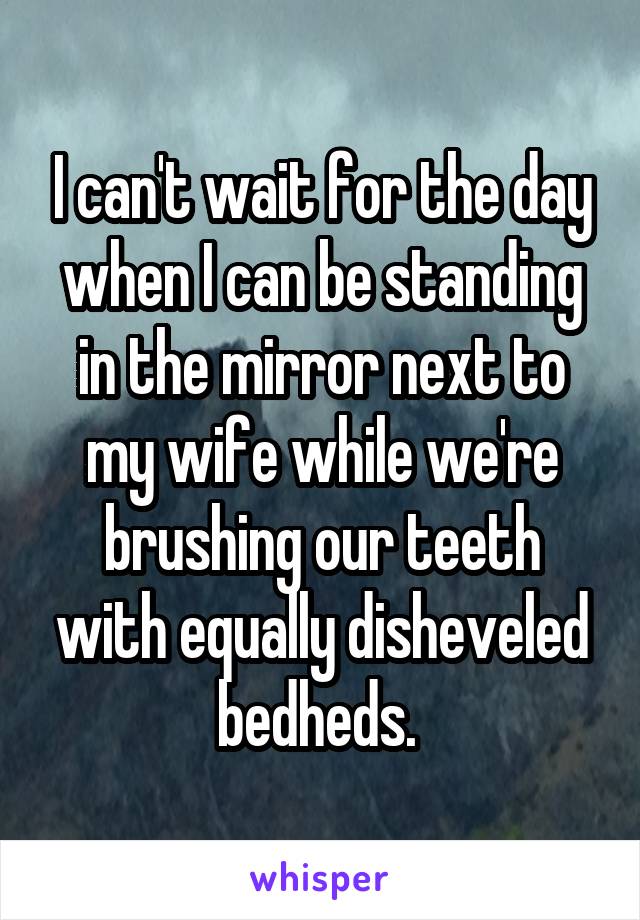 I can't wait for the day when I can be standing in the mirror next to my wife while we're brushing our teeth with equally disheveled bedheds. 