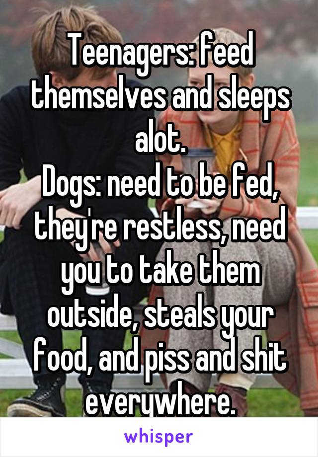 Teenagers: feed themselves and sleeps alot.
Dogs: need to be fed, they're restless, need you to take them outside, steals your food, and piss and shit everywhere.