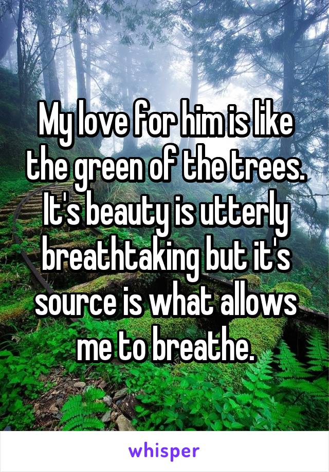 My love for him is like the green of the trees. It's beauty is utterly breathtaking but it's source is what allows me to breathe.