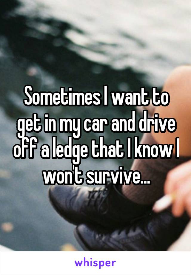Sometimes I want to get in my car and drive off a ledge that I know I won't survive...