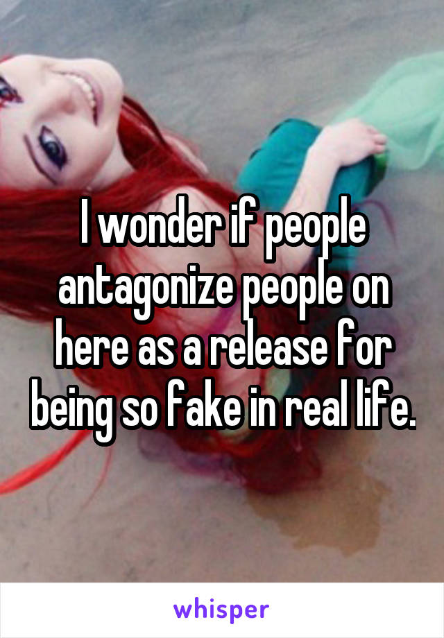 I wonder if people antagonize people on here as a release for being so fake in real life.