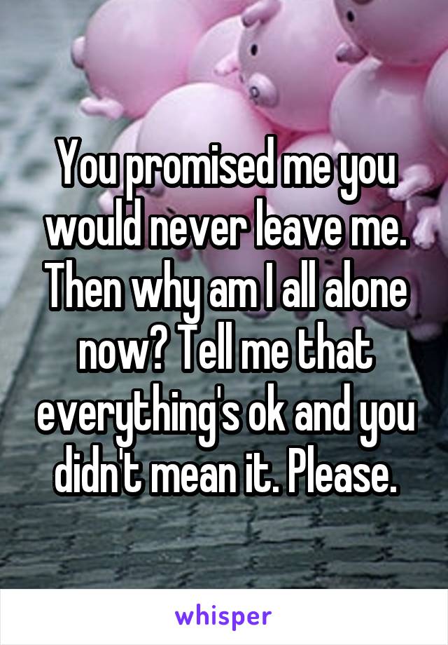 You promised me you would never leave me. Then why am I all alone now? Tell me that everything's ok and you didn't mean it. Please.
