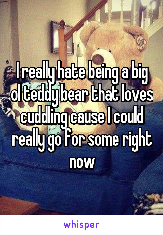 I really hate being a big ol teddy bear that loves cuddling cause I could really go for some right now