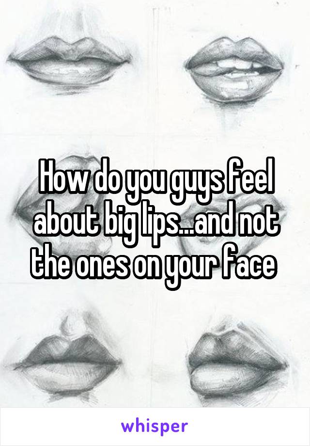 How do you guys feel about big lips...and not the ones on your face 