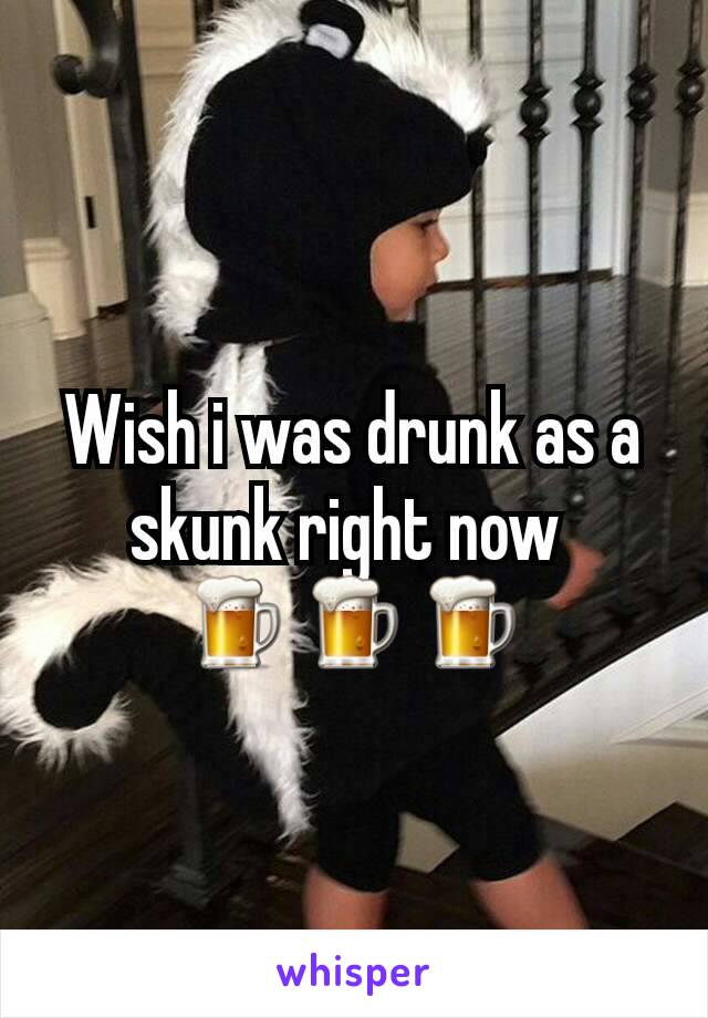 Wish i was drunk as a skunk right now 
🍺🍺🍺
