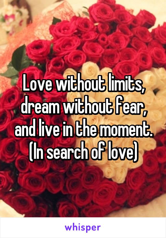 Love without limits, dream without fear, and live in the moment.
(In search of love)