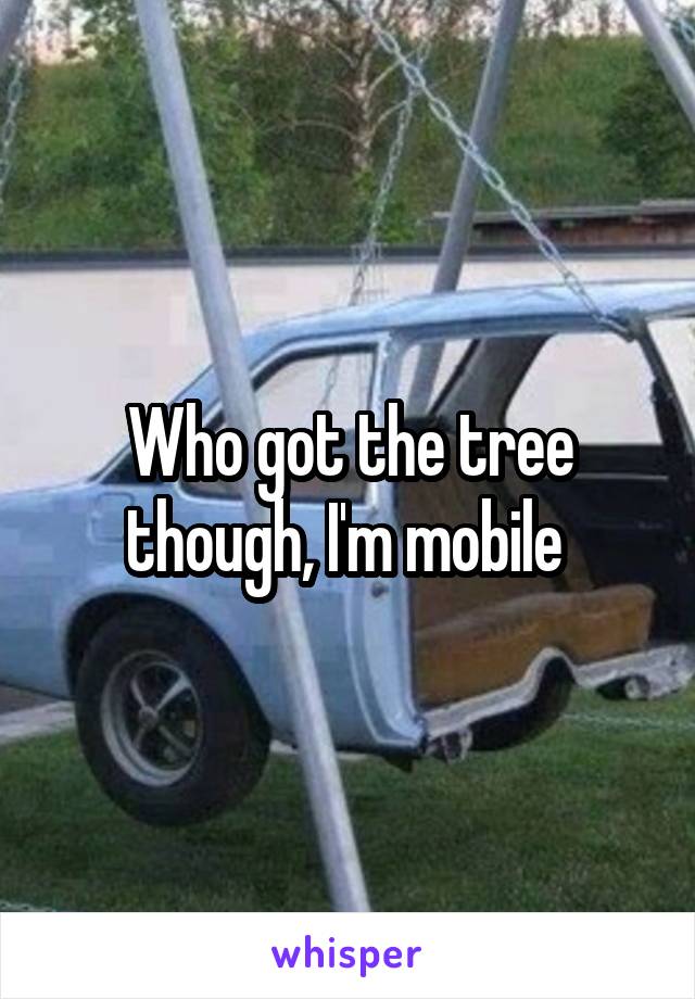 Who got the tree though, I'm mobile 