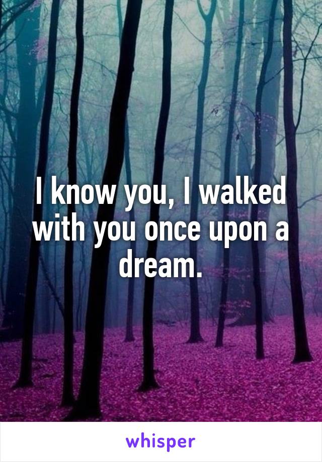 I know you, I walked with you once upon a dream.