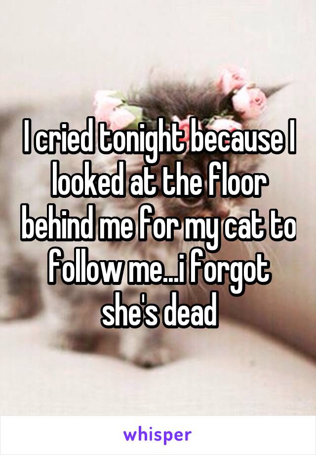 I cried tonight because I looked at the floor behind me for my cat to follow me...i forgot she's dead