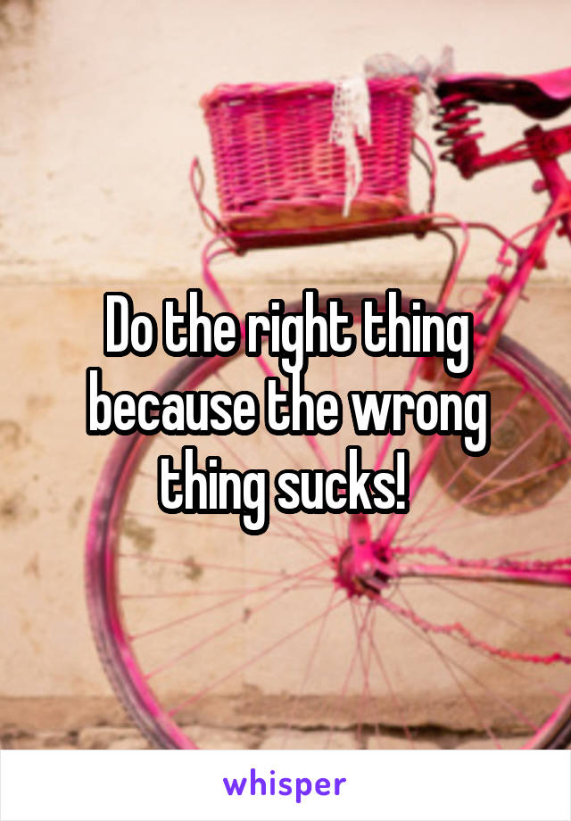 Do the right thing because the wrong thing sucks! 