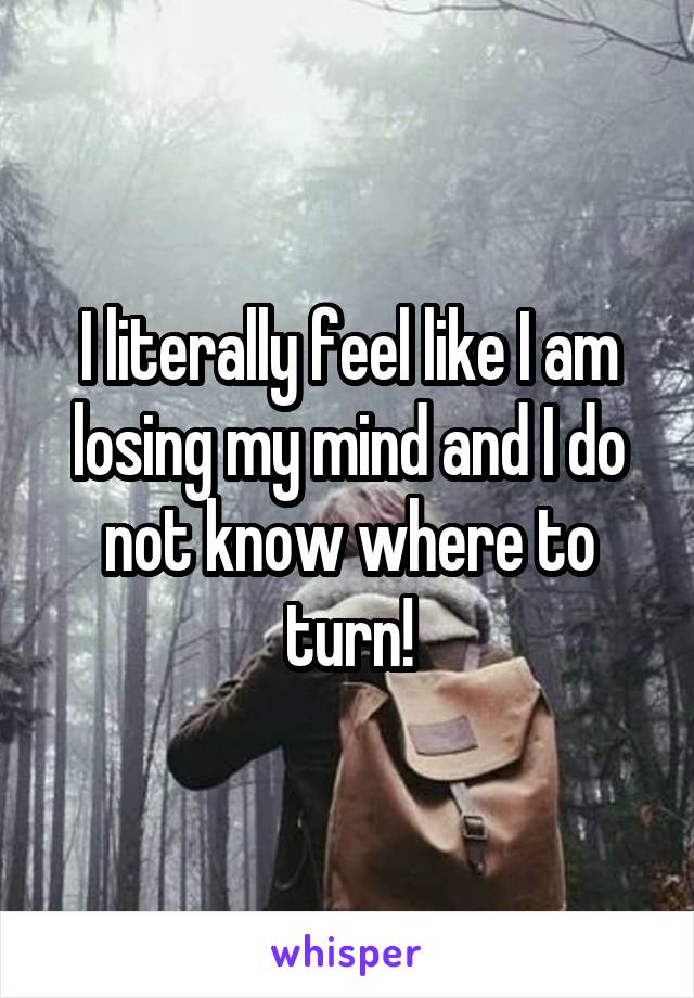 I literally feel like I am losing my mind and I do not know where to turn!