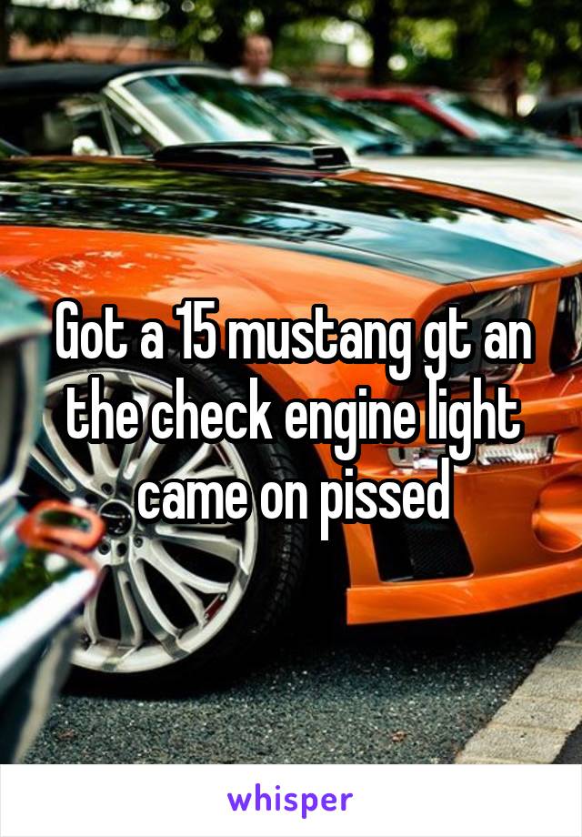 Got a 15 mustang gt an the check engine light came on pissed
