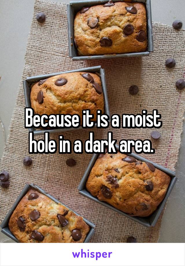 Because it is a moist hole in a dark area. 