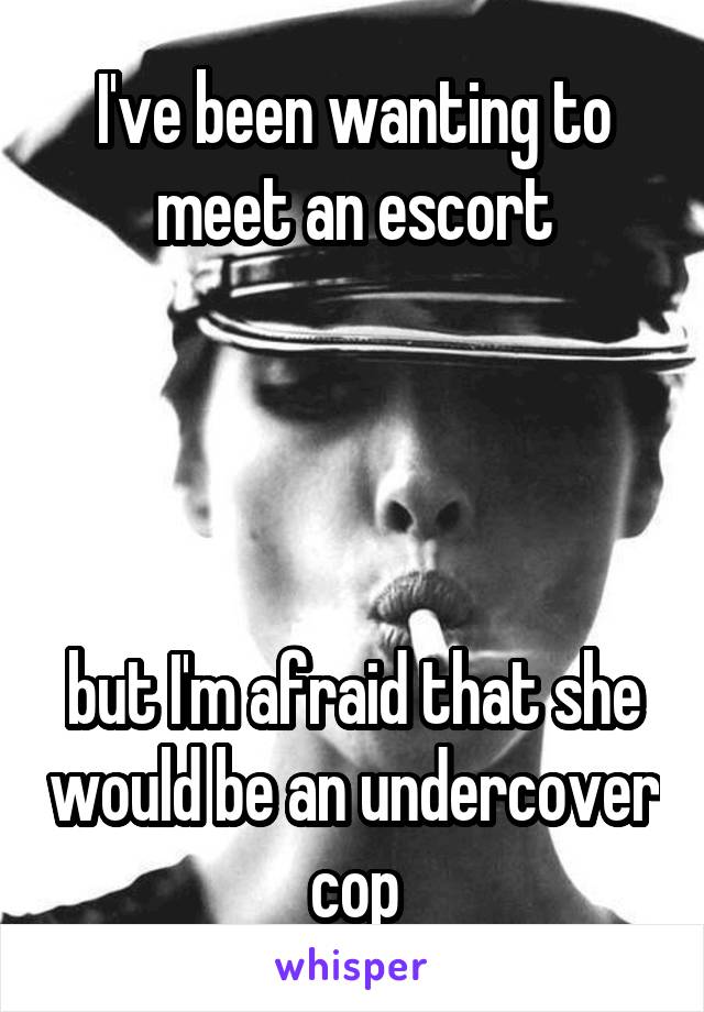 I've been wanting to meet an escort




but I'm afraid that she would be an undercover cop