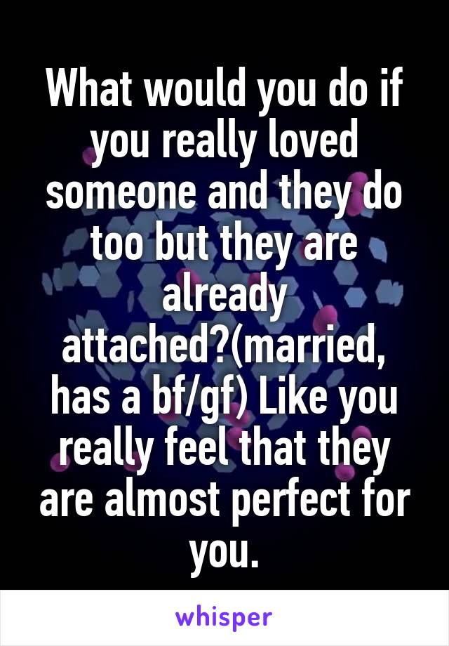 What would you do if you really loved someone and they do too but they are already attached?(married, has a bf/gf) Like you really feel that they are almost perfect for you.