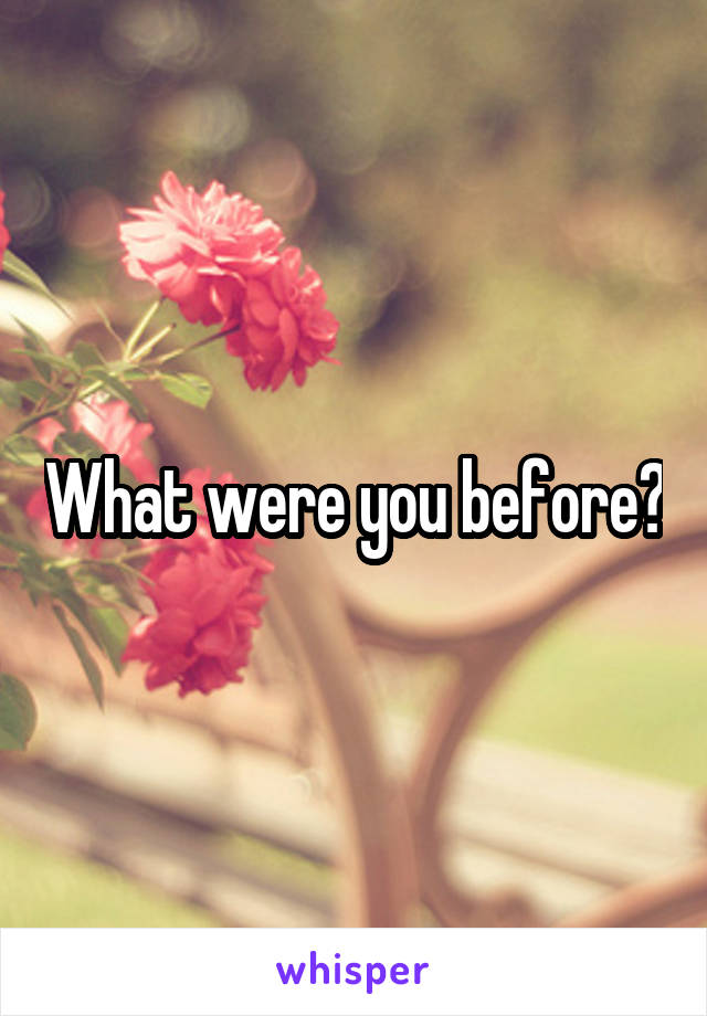 What were you before?