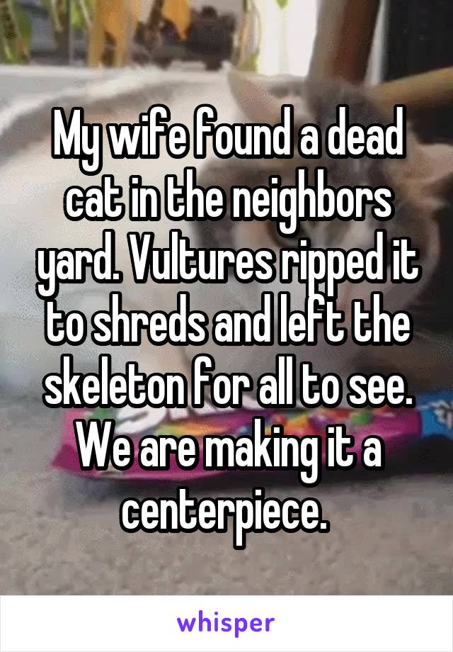My wife found a dead cat in the neighbors yard. Vultures ripped it to shreds and left the skeleton for all to see. We are making it a centerpiece. 