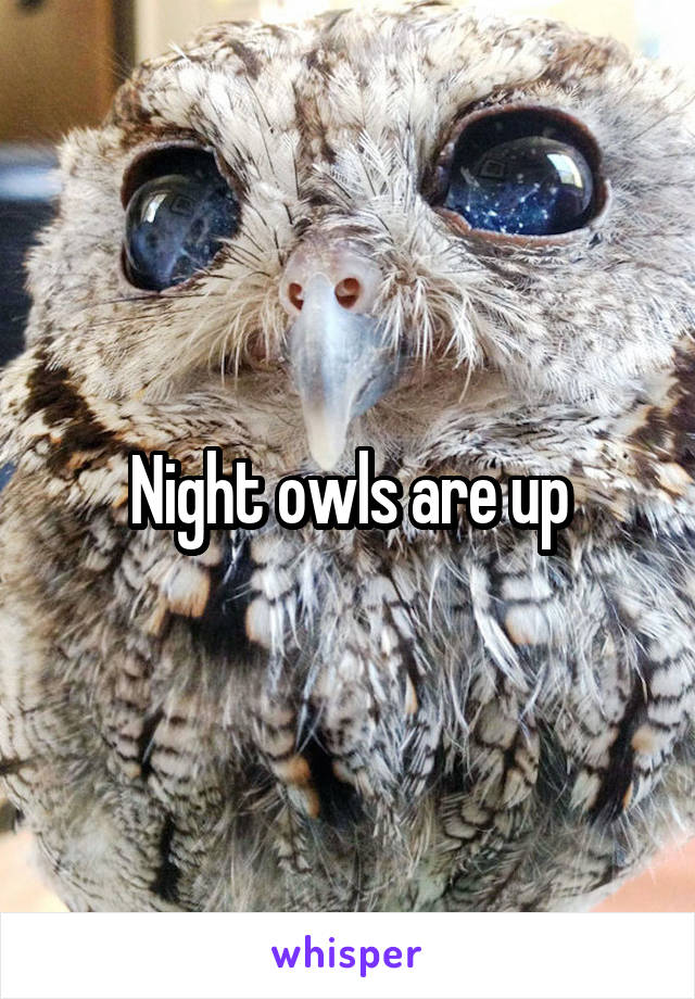 Night owls are up